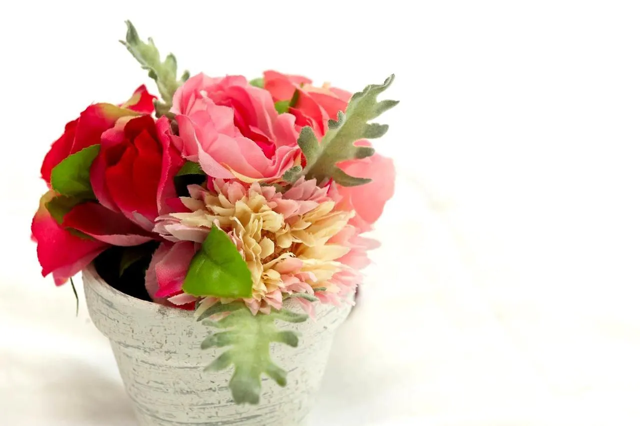 Cherry Blooming Tokyo- All Suite Boutique Hotel 东京伊樱里-中央区全套房艺术酒店 Japan